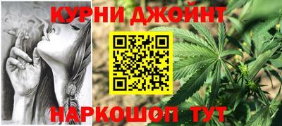 дмт Бердск