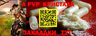 дмт Бердск