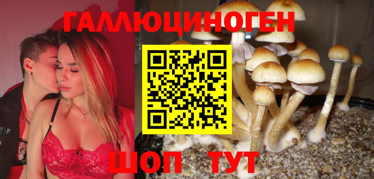 Псилоцибиновые грибы прущие грибы Выкса